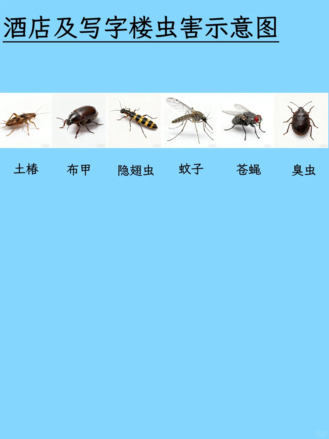 虫虫开会！这份图谱让害虫不再陌生！