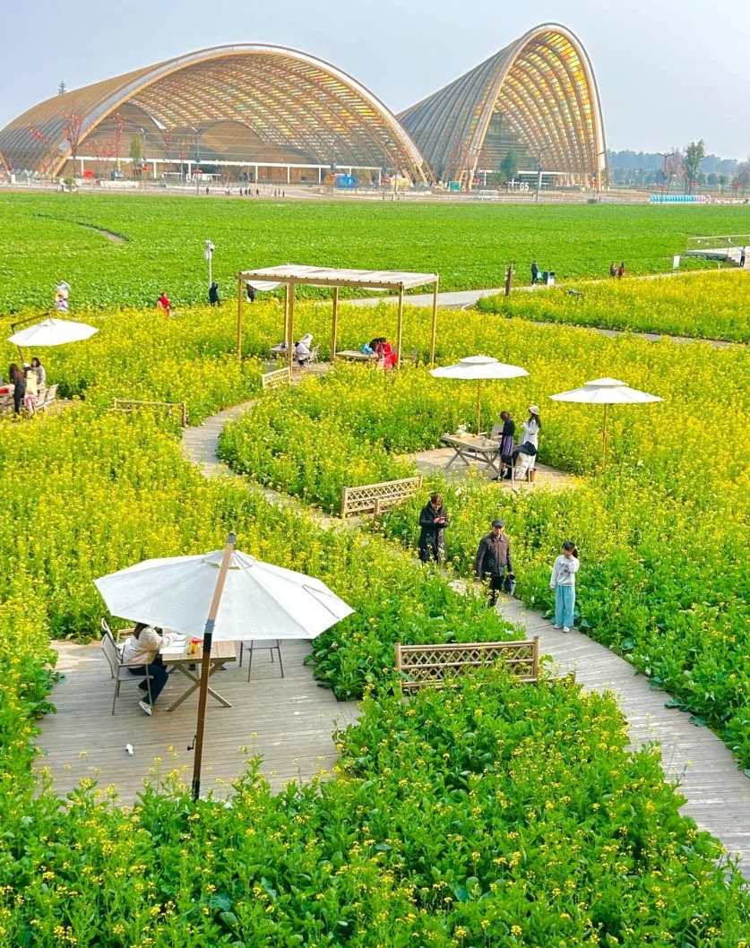 有机农场 + 文旅：解锁乡村新玩法