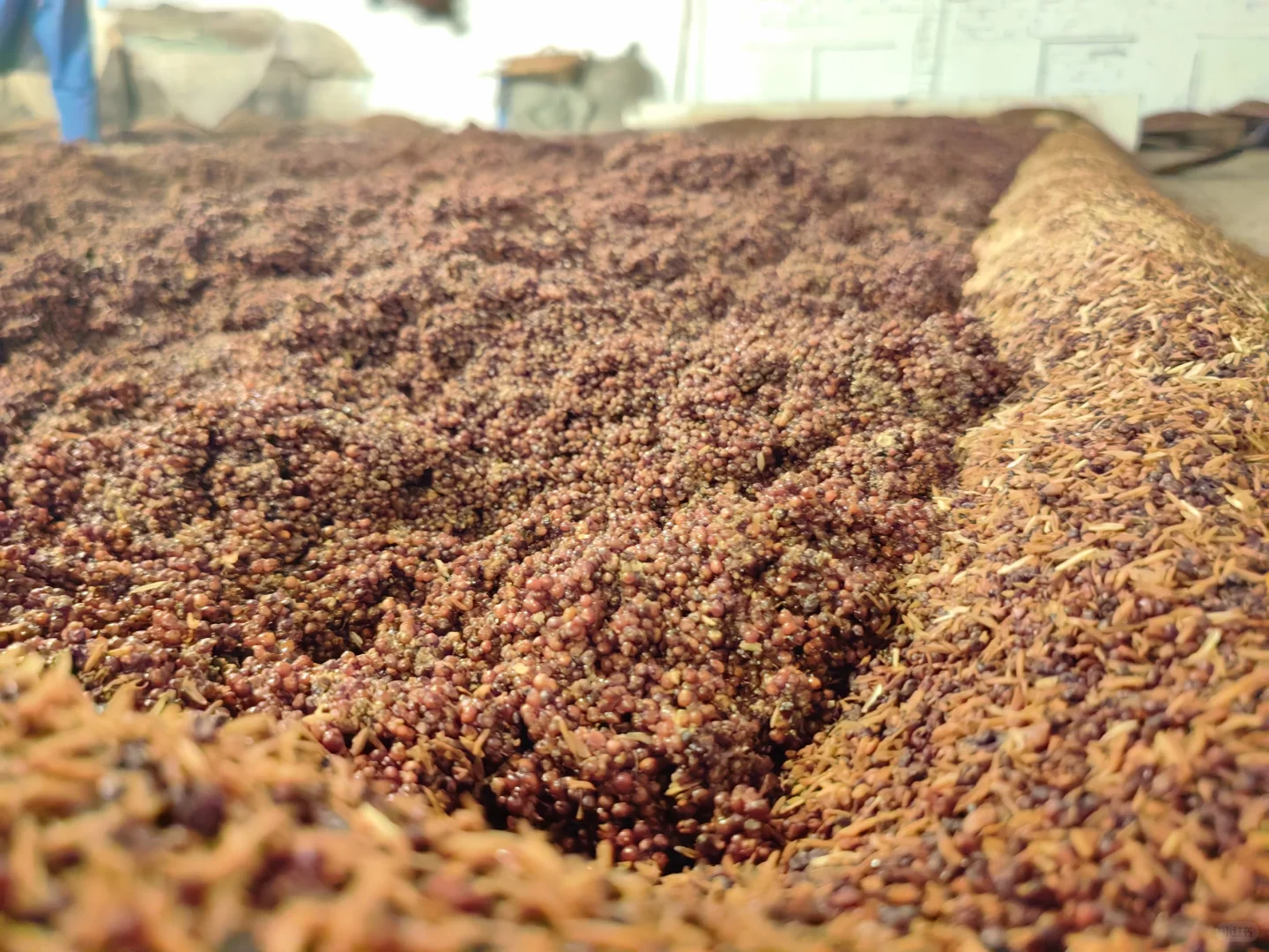 个人觉得这是泡酒最好的酒体，没有之一