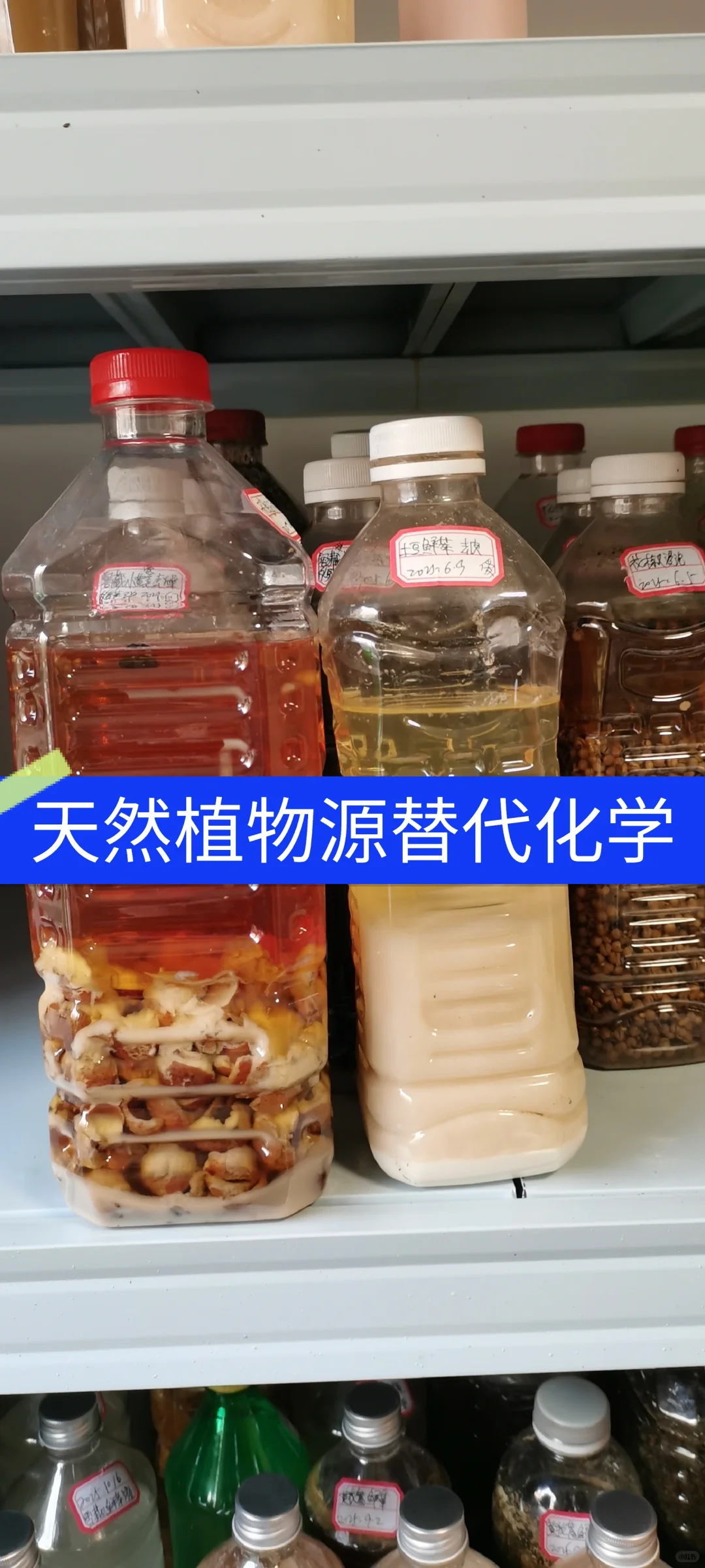 我的环保生活用天然植物源替代化学品的秘诀