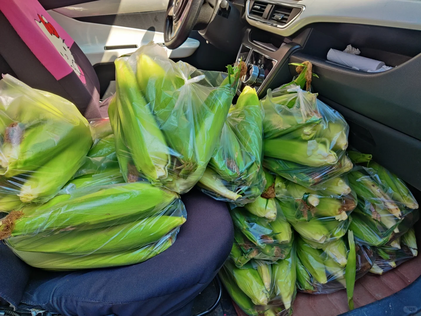 摘不完，根本摘不完。