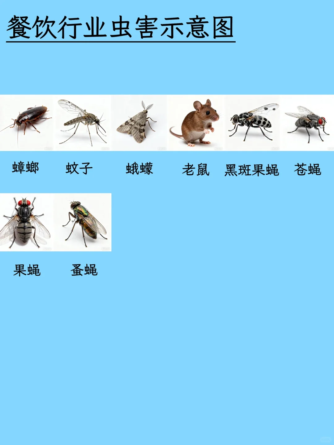 虫虫开会！这份图谱让害虫不再陌生！