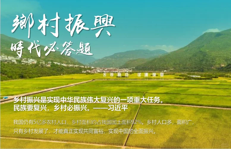 乡镇农村水果种植产业乡村振兴规划运营