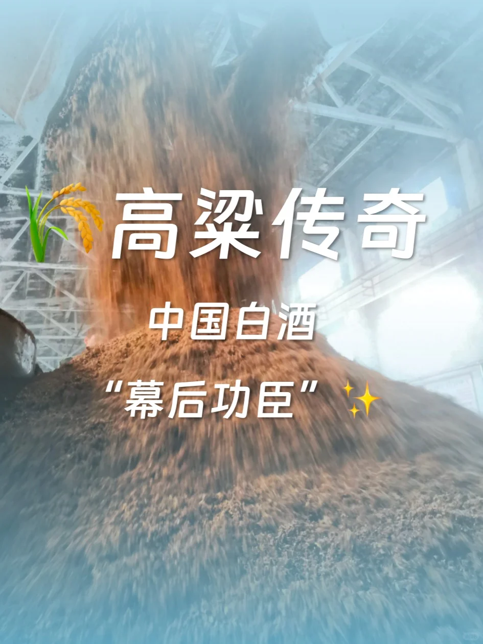 ?高粱是如何变成酒的?