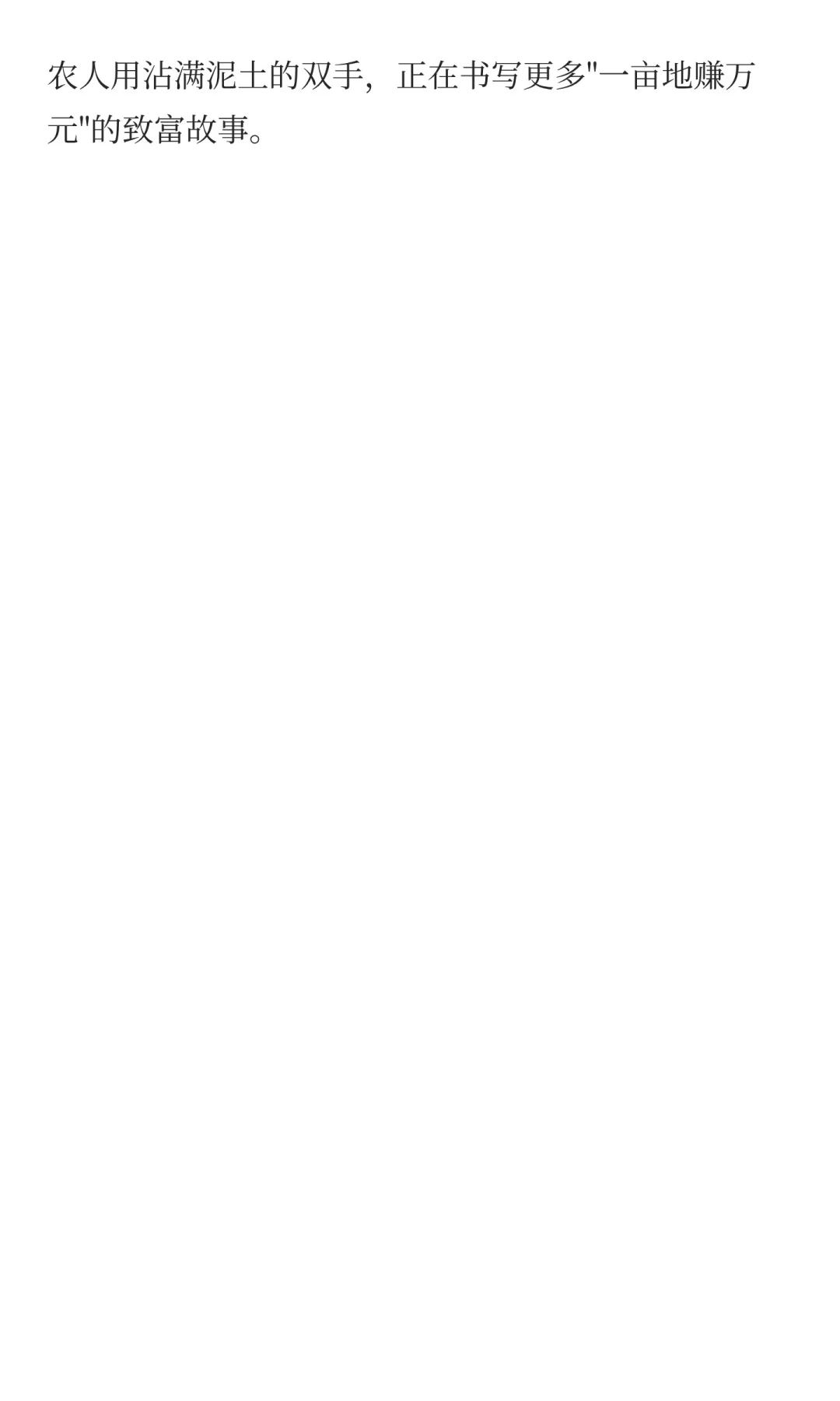 什么种植行业这么赚钱？80后小伙种了20亩，