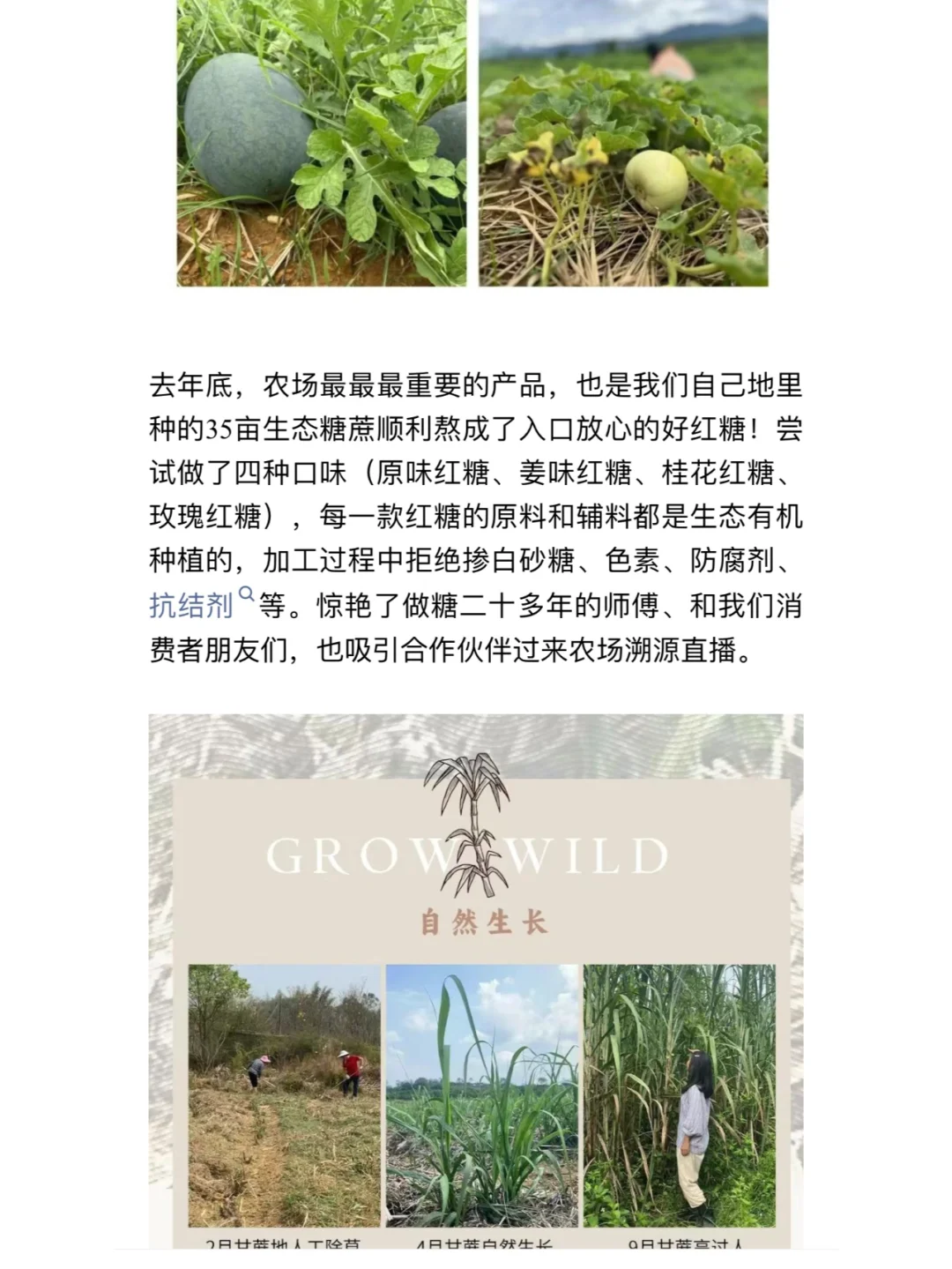 两个90后女生的生态农场