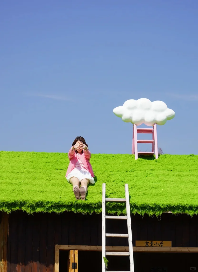 有机农场 + 文旅：解锁乡村新玩法