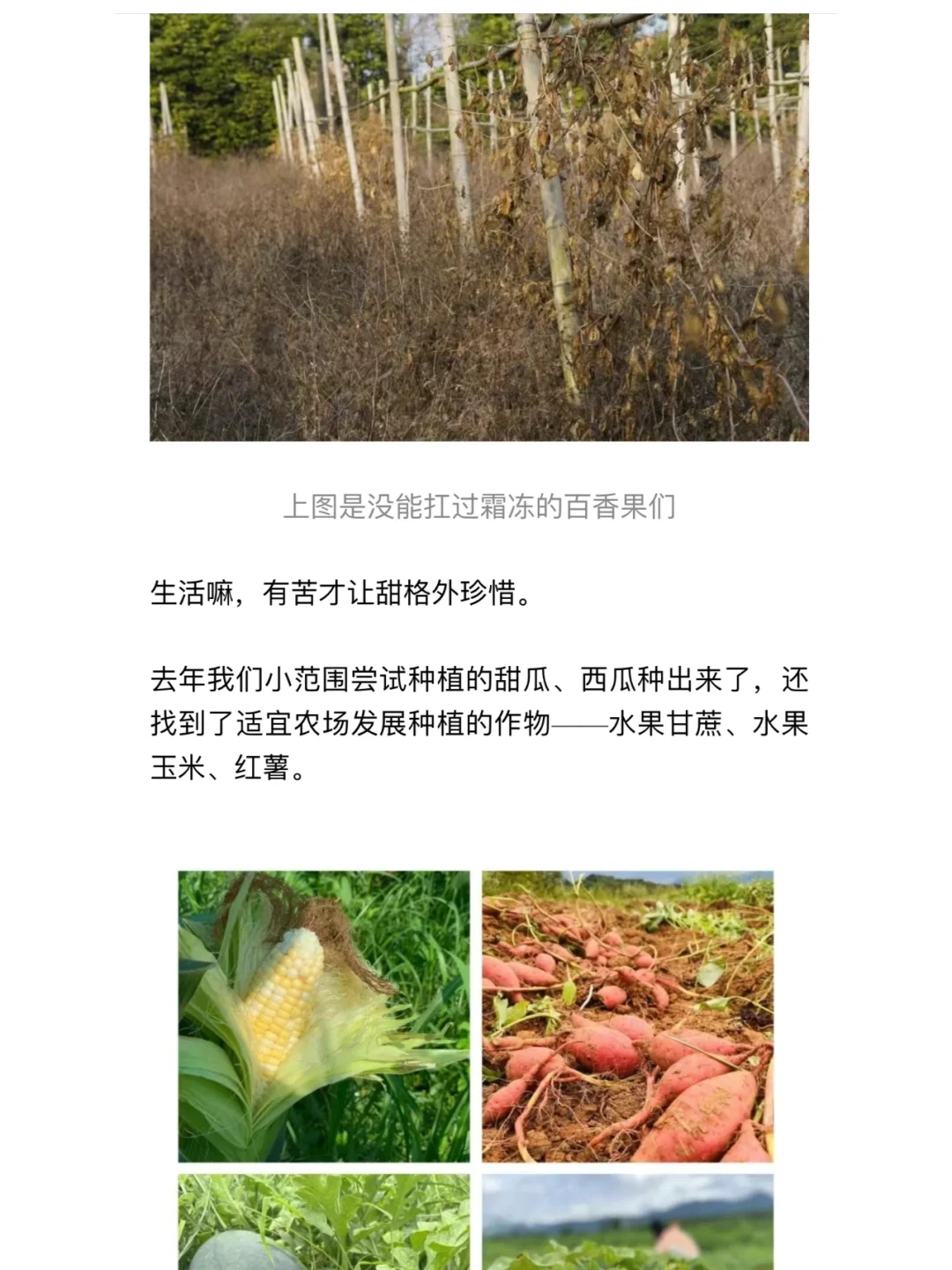 两个90后女生的生态农场