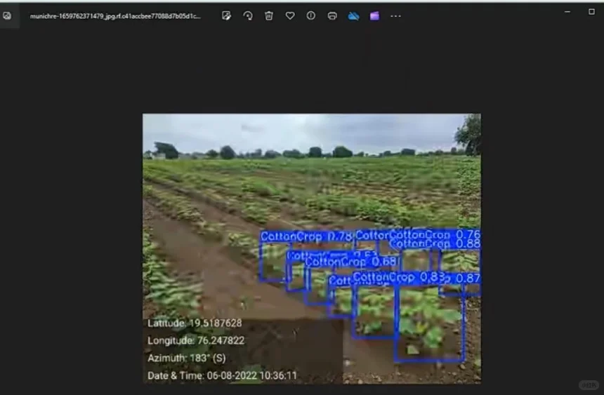 基于深度学习的农作物目标检测