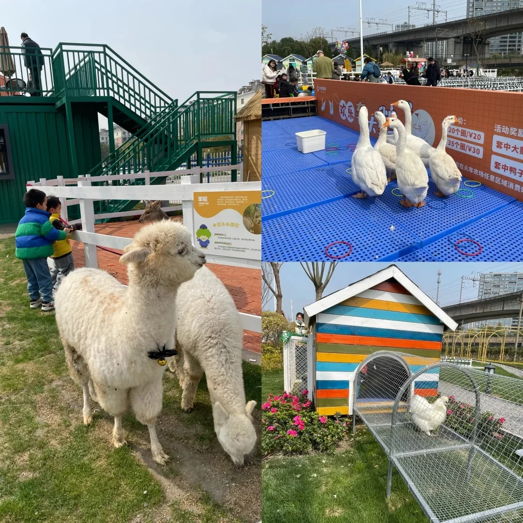 有机农场 + 文旅：解锁乡村新玩法