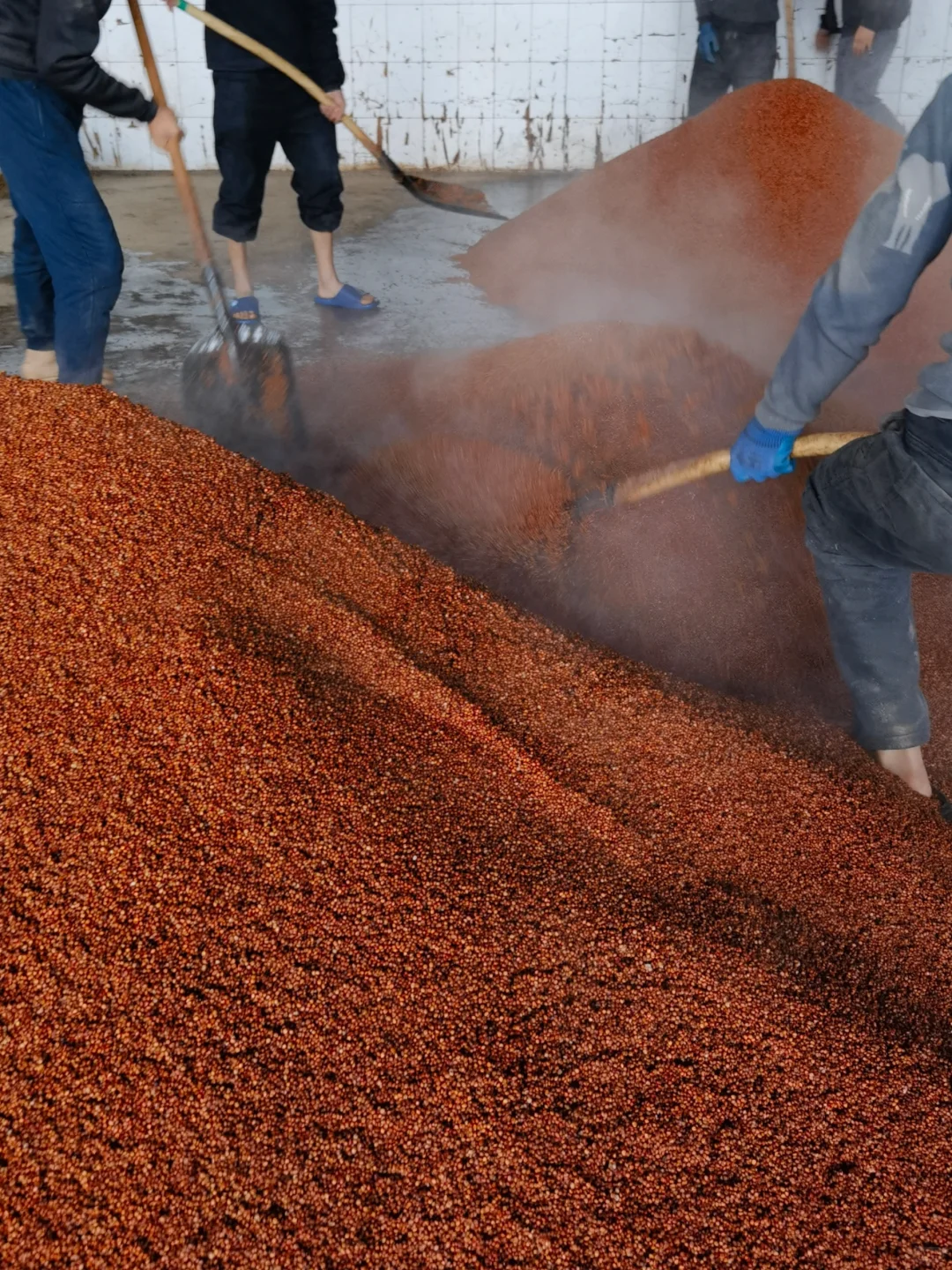 酱酒之肉—红樱子糯高粱