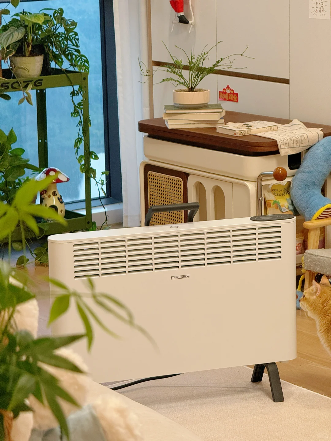 原木风家里的温暖魔法,治愈南方的冷?