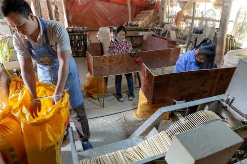 只需要2万元的设备，一年挣20万不是问题！