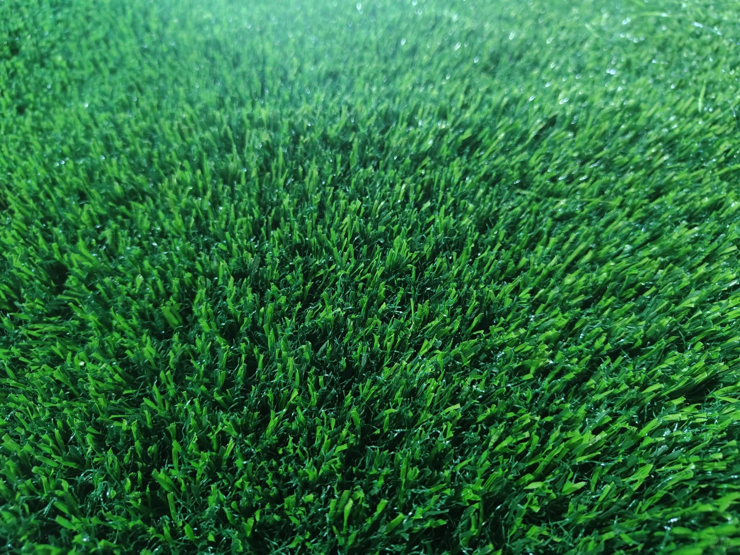 人造草坪，仿真植物墙厂家