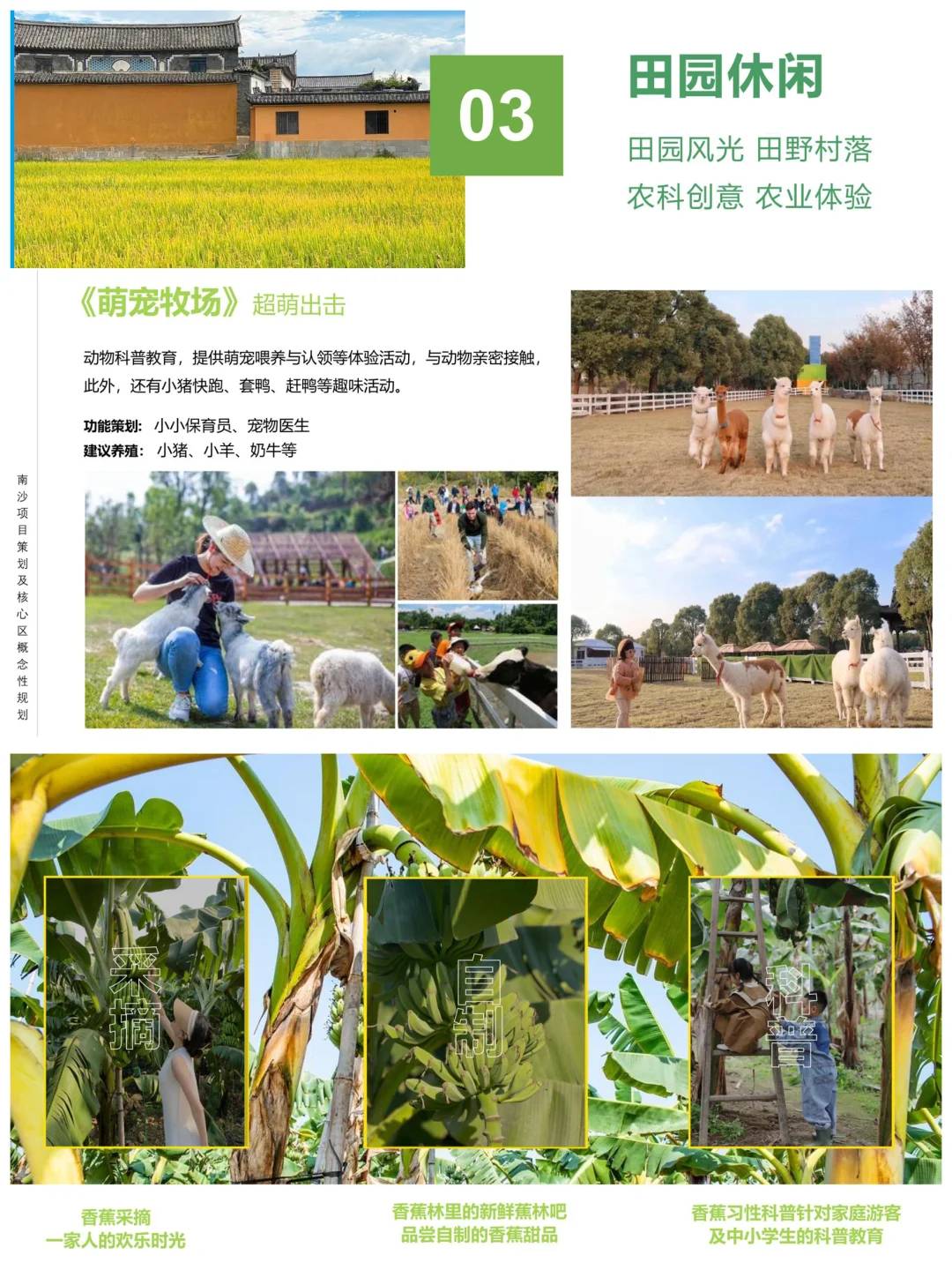 南沙农文旅把 “田园梦想” 照进现实?