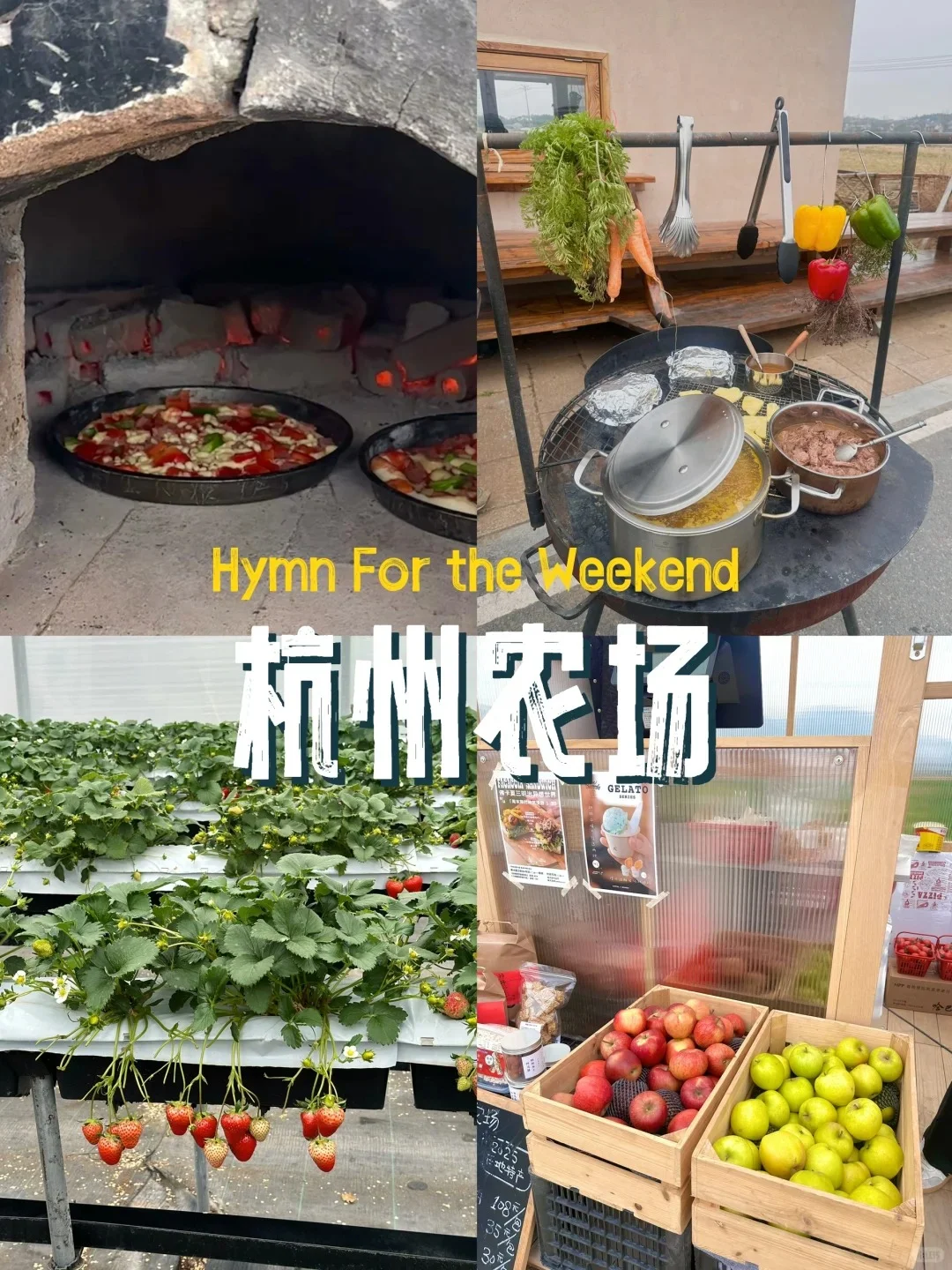 有机农场 + 文旅：解锁乡村新玩法