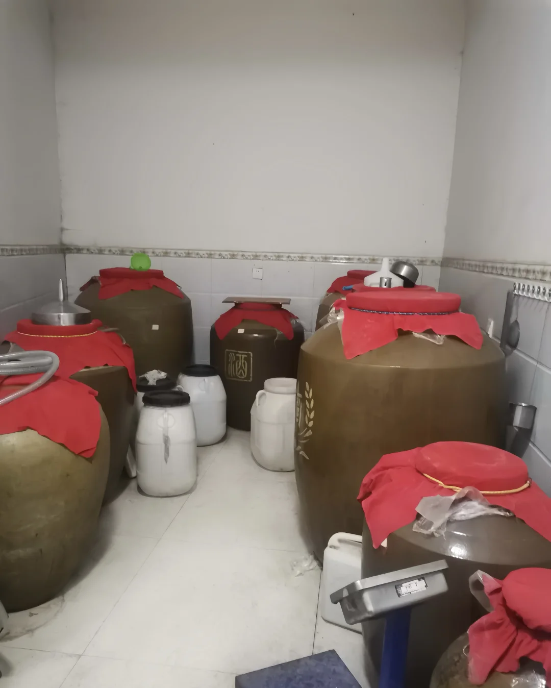 老爸自酿的酒 包谷酒 苦荞酒 高粱酒