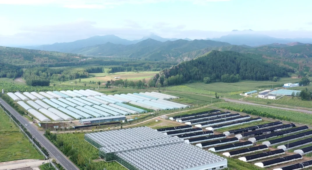 2025农业项目，发展很大！