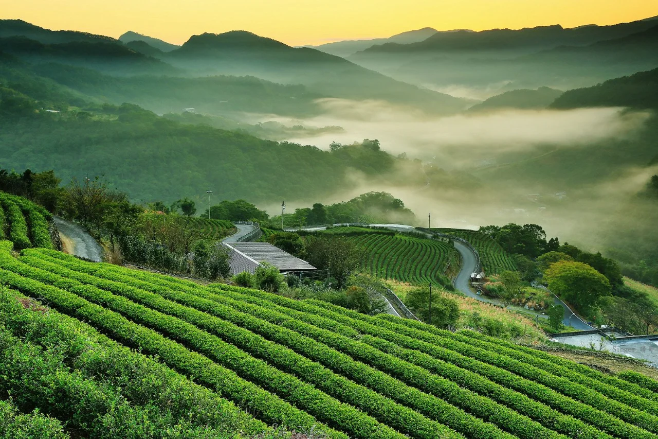 ?非遗+助农,乡村振兴新赛道之路?