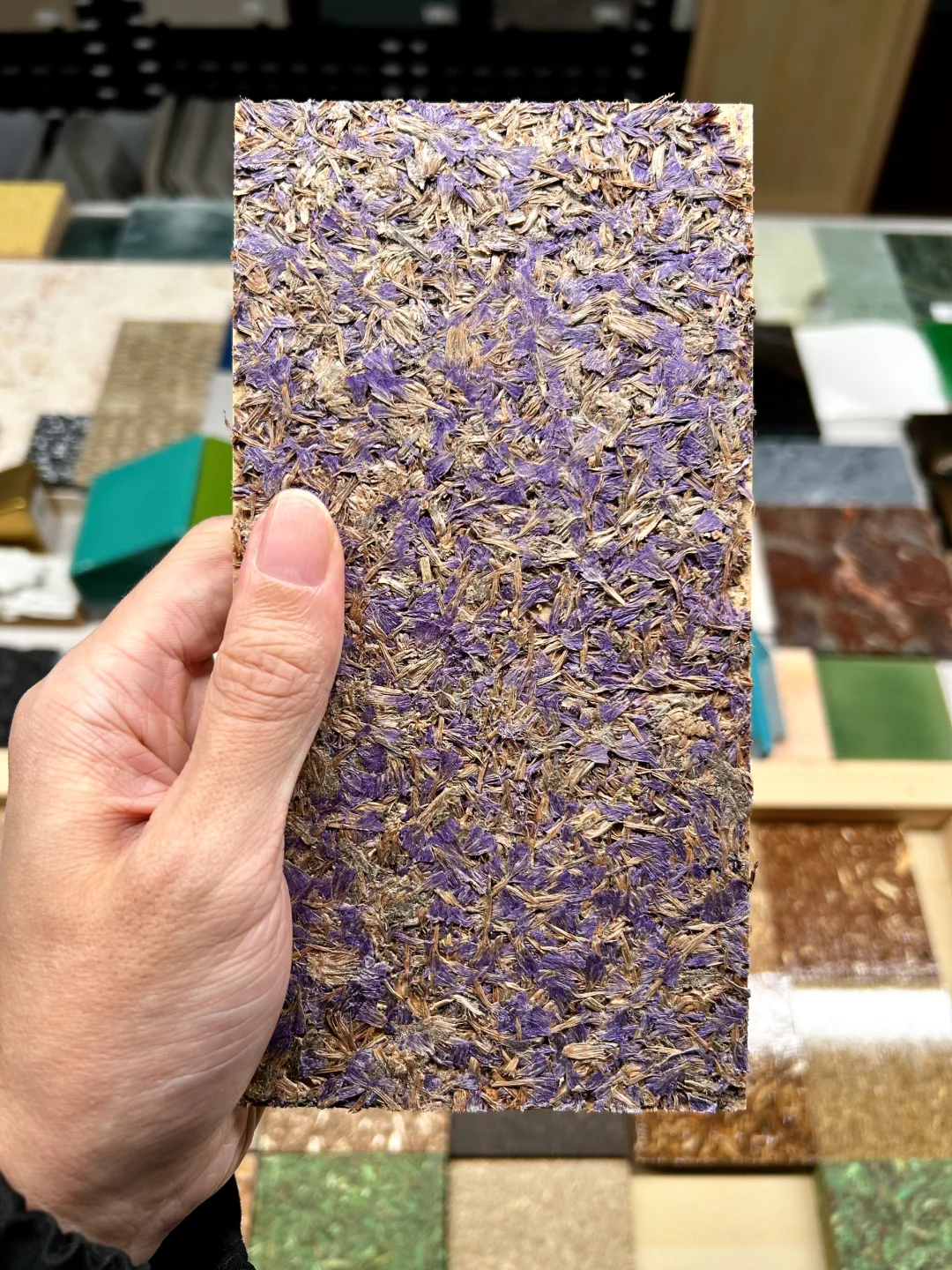 48小时样品极速达｜绿色基因