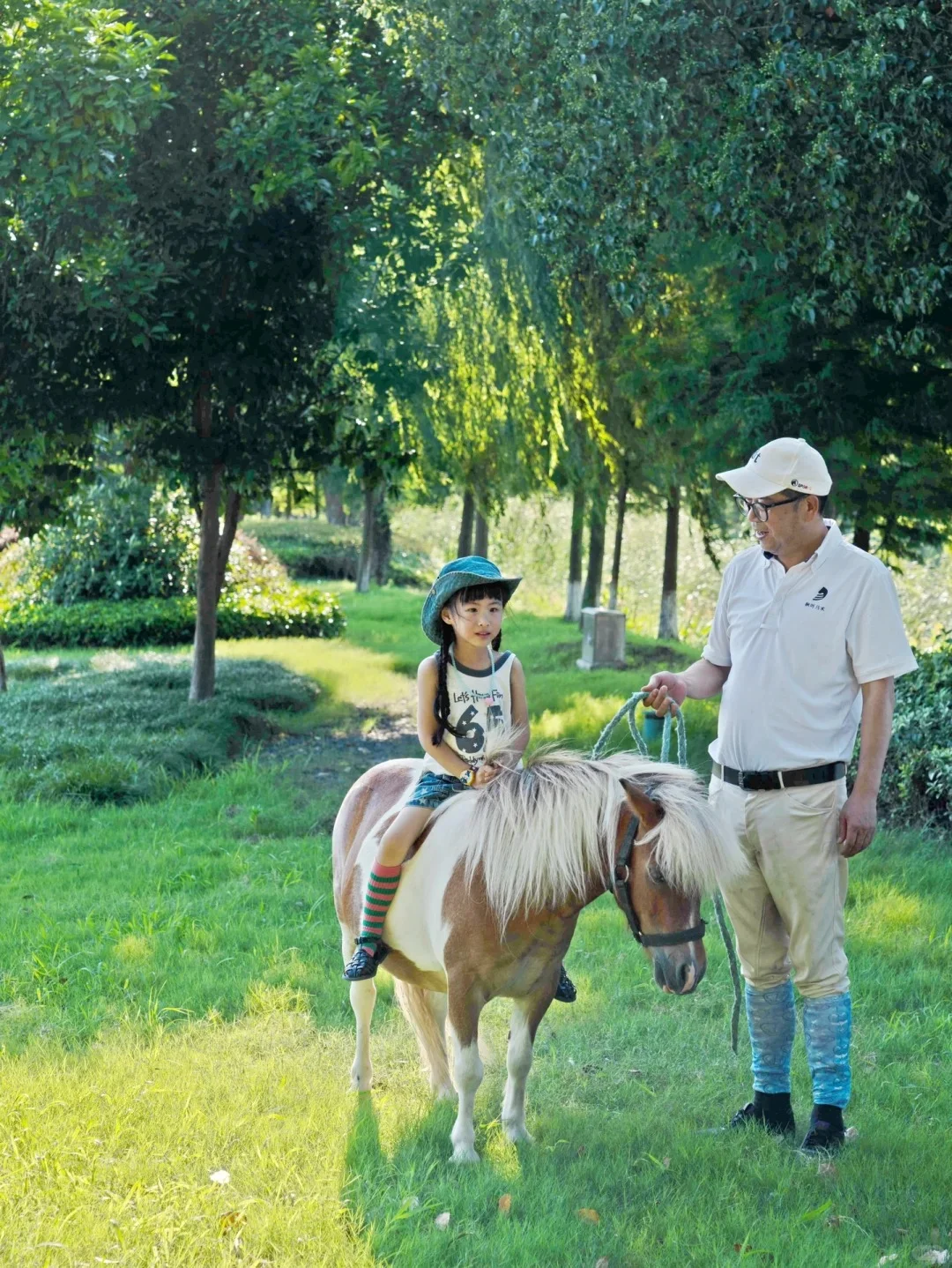 有机农场 + 文旅：解锁乡村新玩法