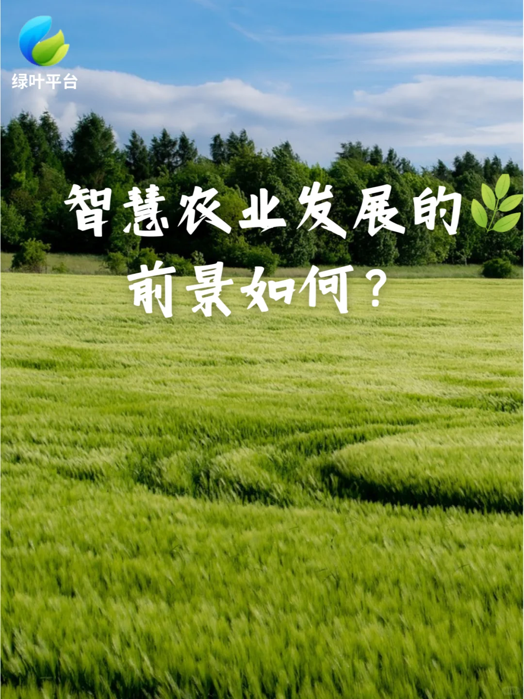 AI+农业=？智慧农业发展前景大揭秘