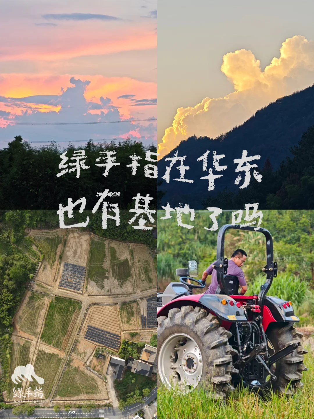 绿手指在华东也有基地了吗⁉️