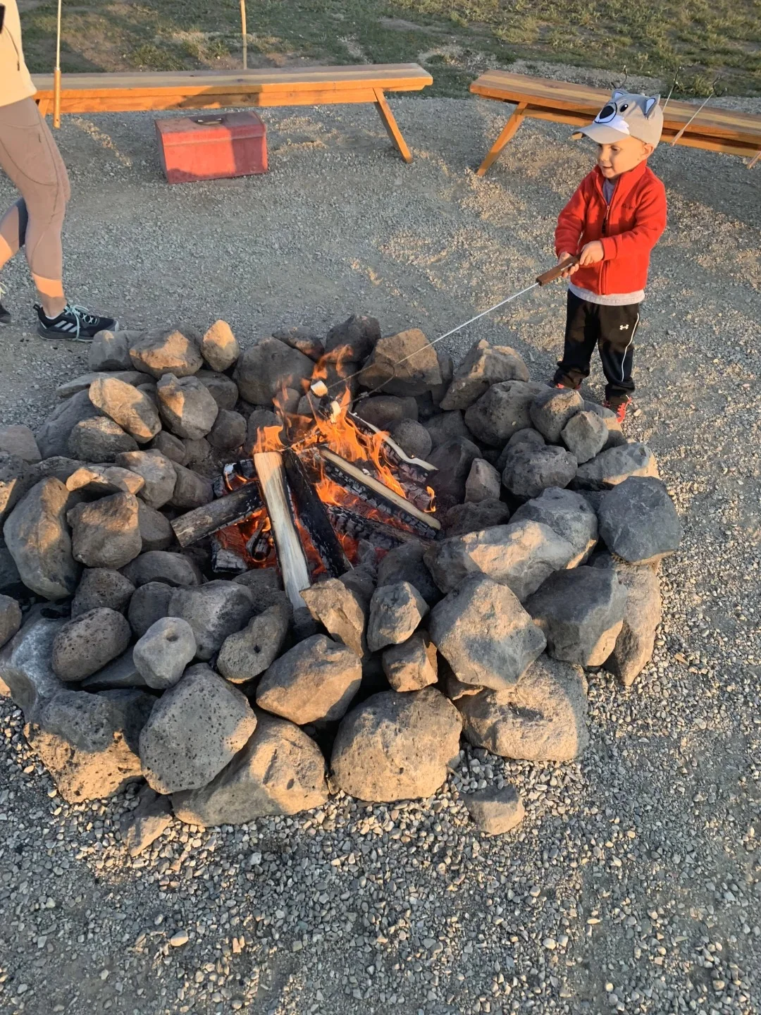 有机农场 + 文旅：解锁乡村新玩法