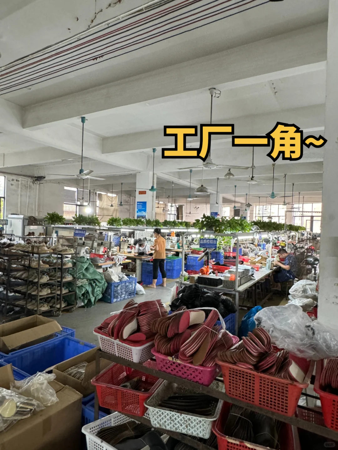 这些鞋厂真害人阿……骂醒一个一个是一个！