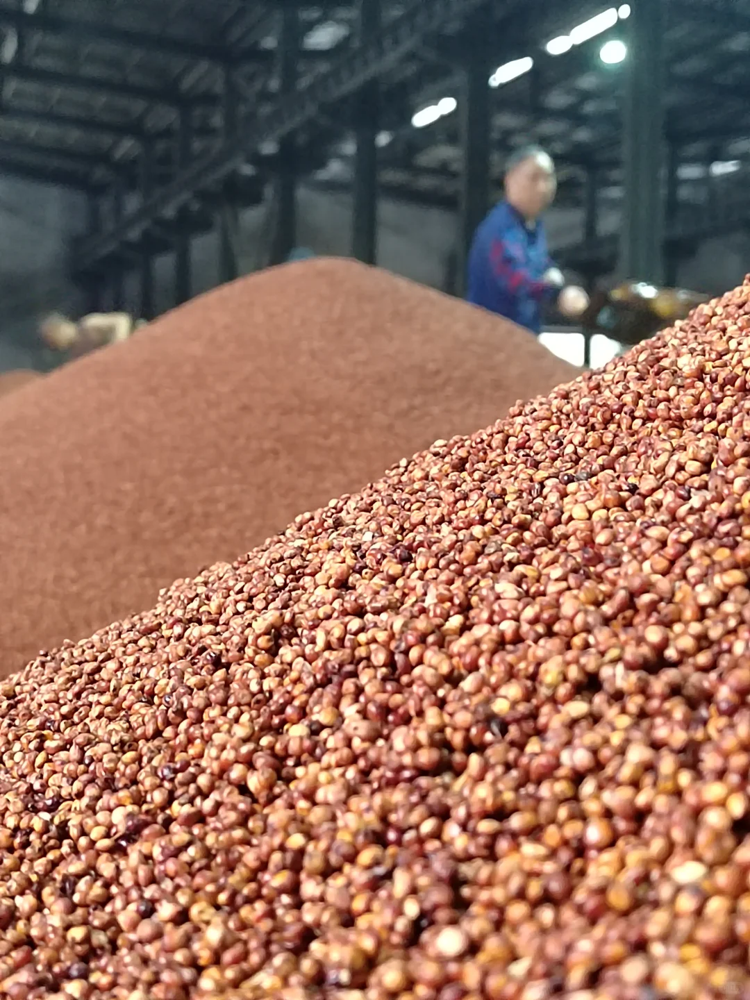 12987古法酿造工艺制作好酱酒