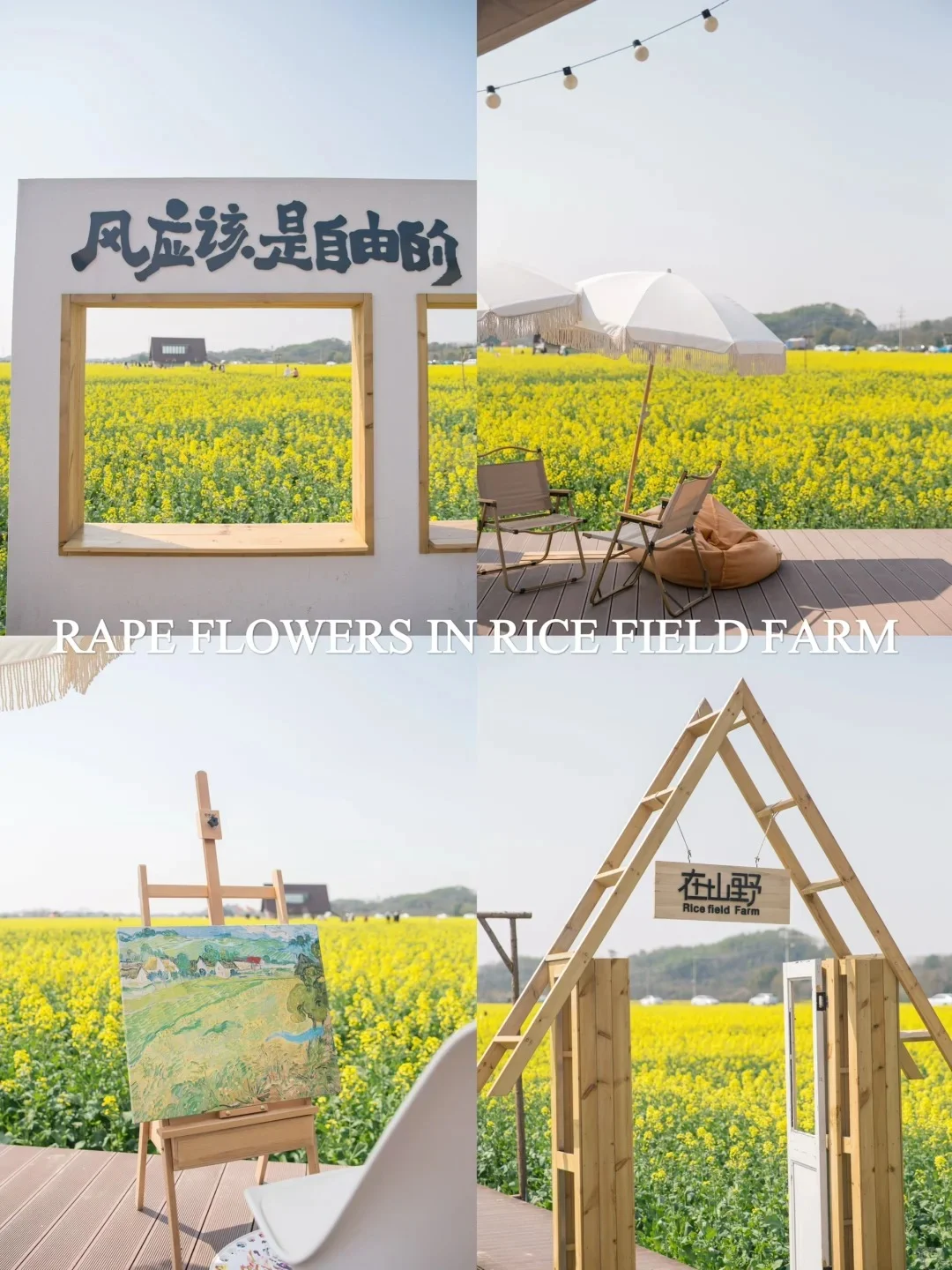 有机农场 + 文旅：解锁乡村新玩法