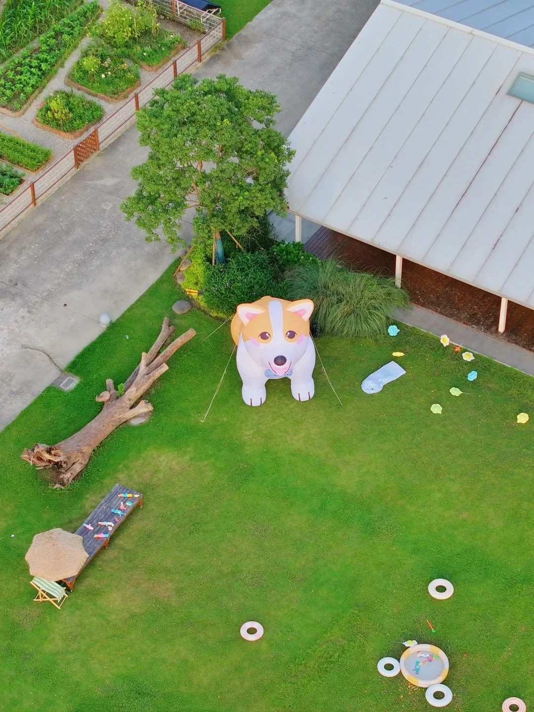 有机农场 + 文旅：解锁乡村新玩法