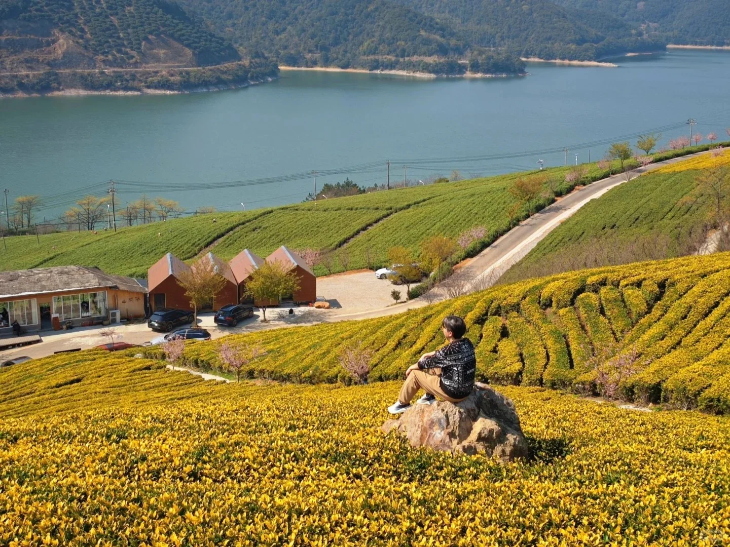 有机农场 + 文旅：解锁乡村新玩法