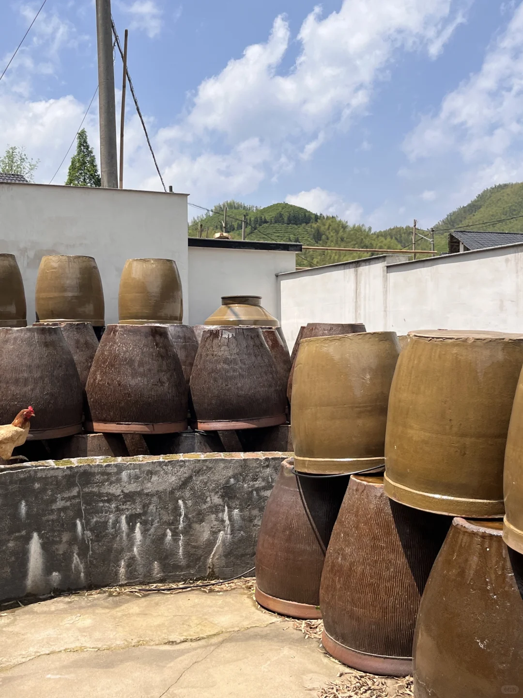 农村纯粮固态自酿酒