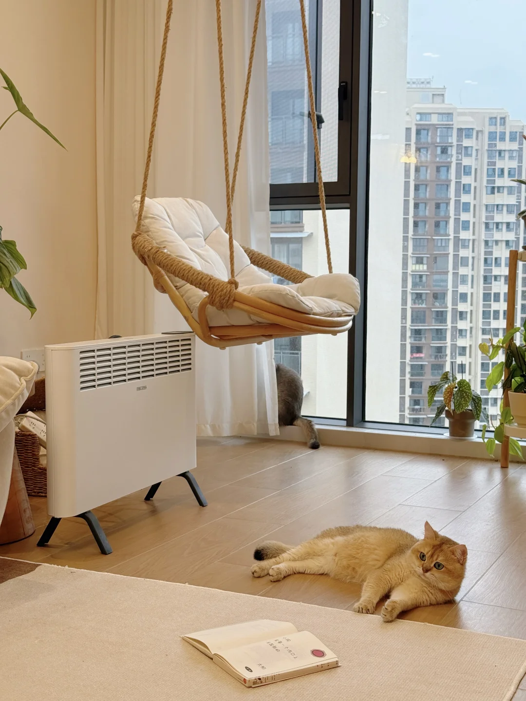 原木风家里的温暖魔法,治愈南方的冷?