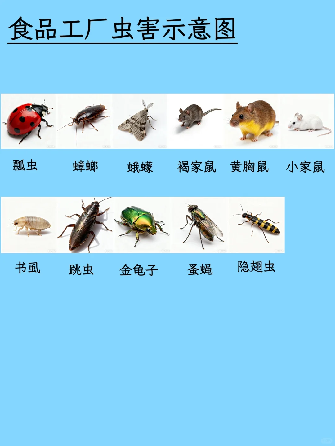 虫虫开会！这份图谱让害虫不再陌生！