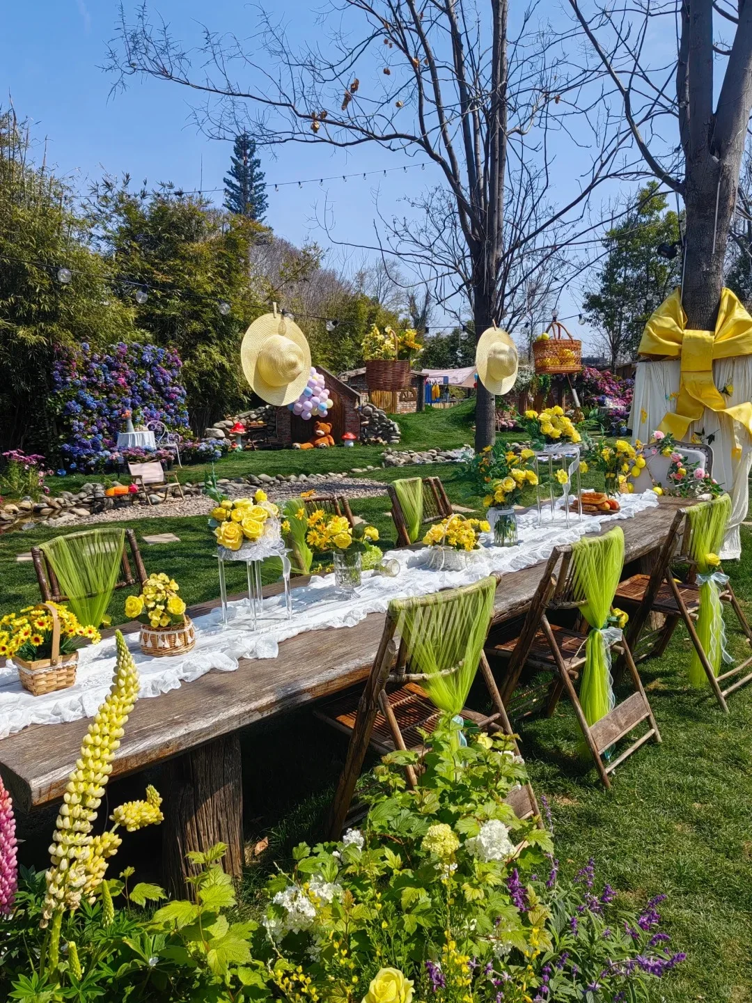 有机农场 + 文旅：解锁乡村新玩法