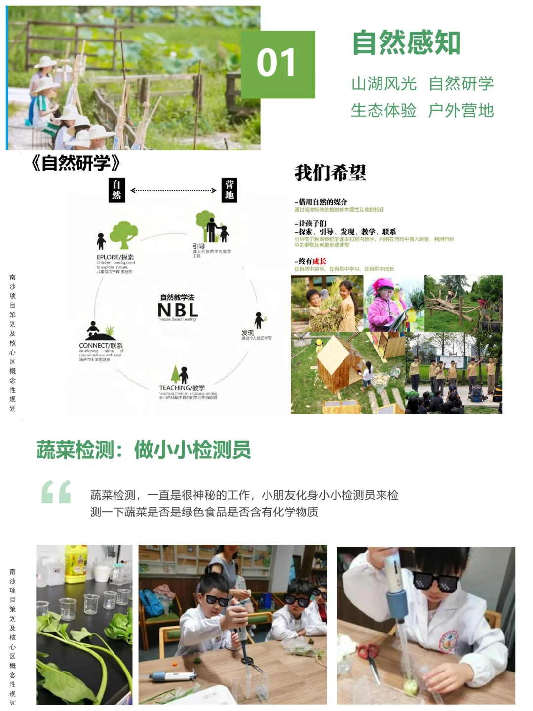 南沙农文旅把 “田园梦想” 照进现实?