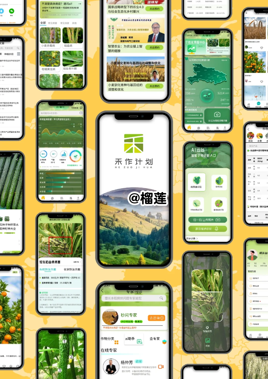 2025年大学生网络文化节作品