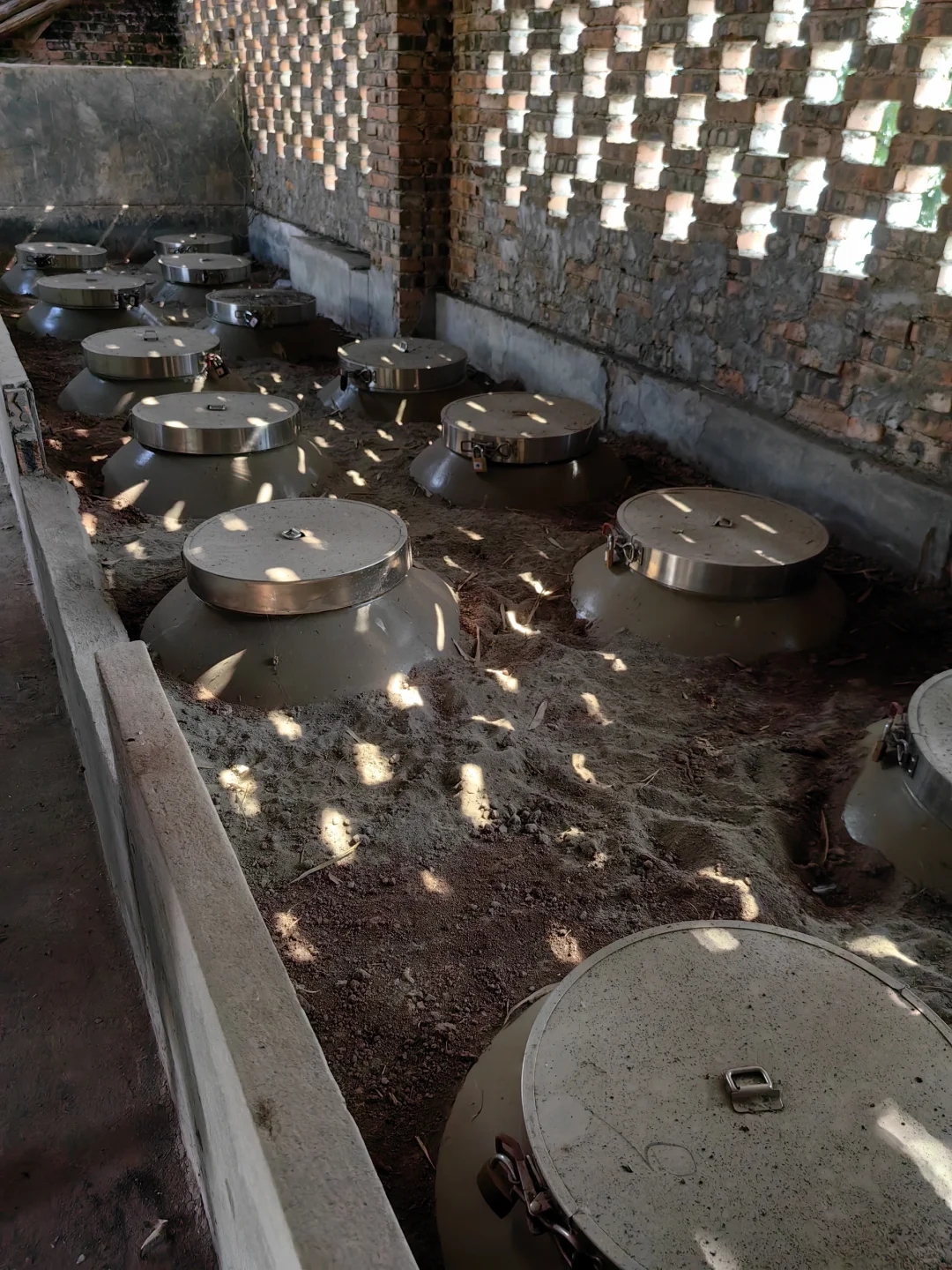 个人觉得这是泡酒最好的酒体，没有之一