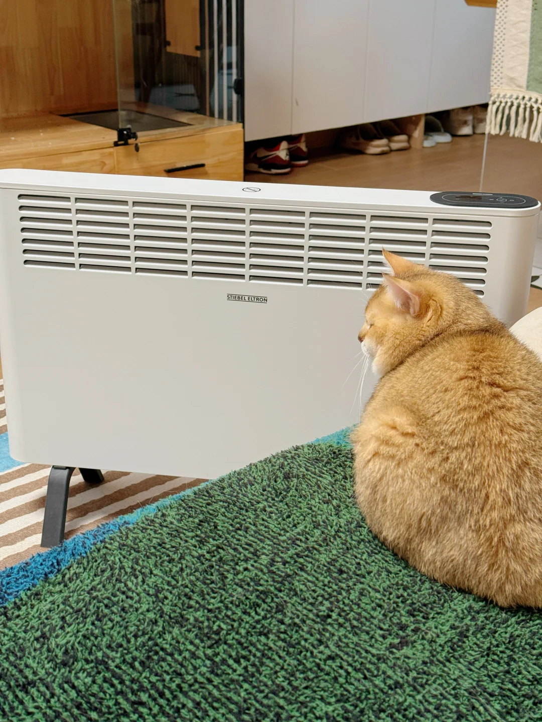 原木风家里的温暖魔法,治愈南方的冷?