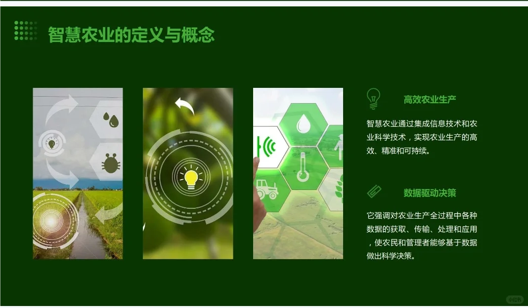 《智慧农业创业计划书》word+ppt