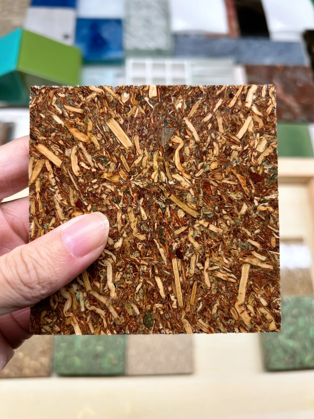 48小时样品极速达｜绿色基因