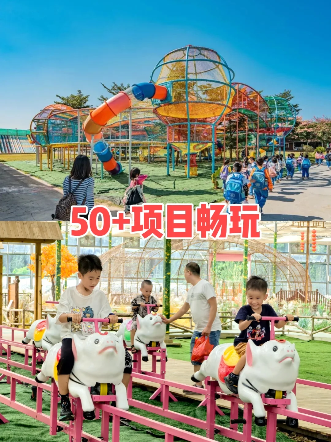 广州研学?报社+花海?娃玩学两不误