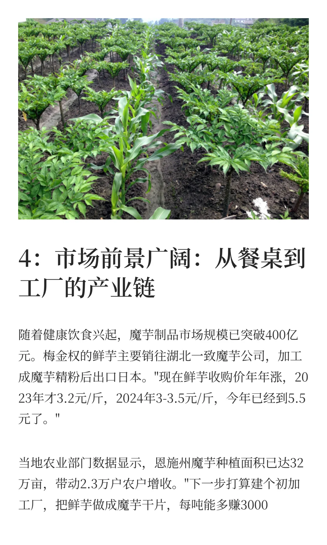 什么种植行业这么赚钱？80后小伙种了20亩，