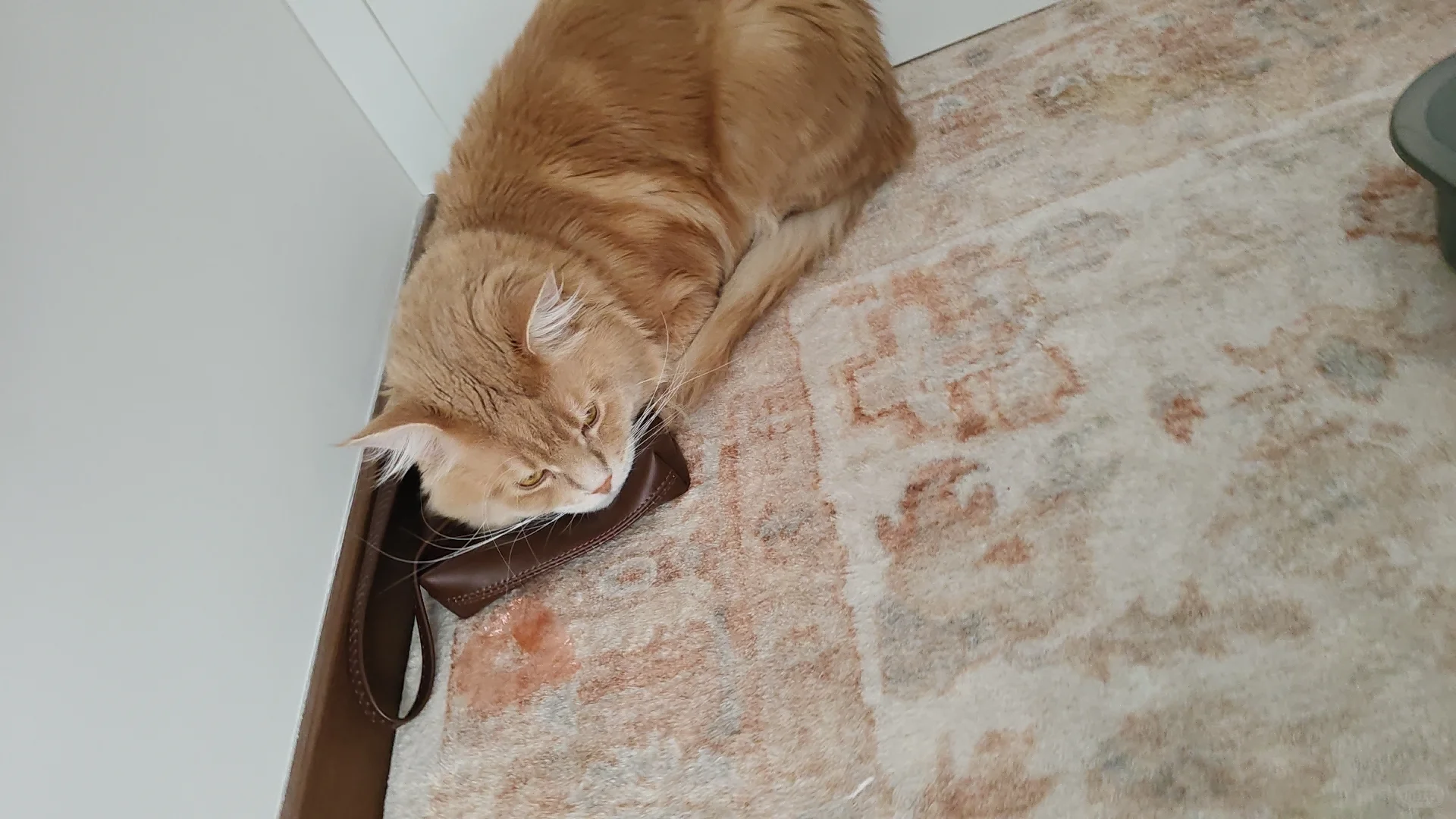 成年人三年度数涨200多,这正常吗