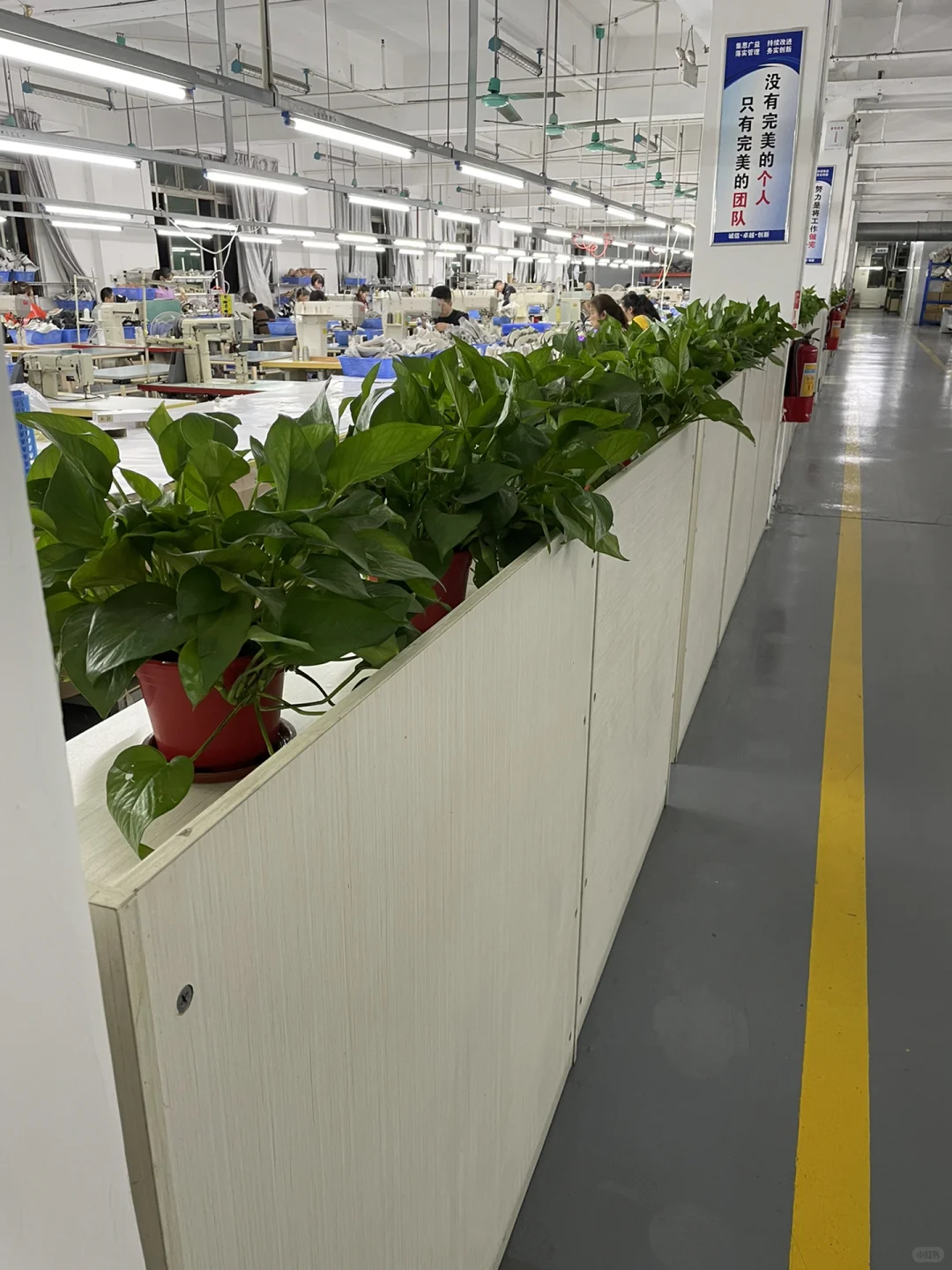 1/10，依然奋斗在一线