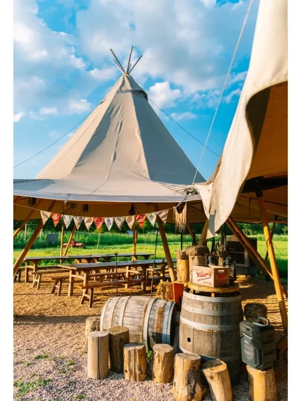 有机农场 + 文旅：解锁乡村新玩法