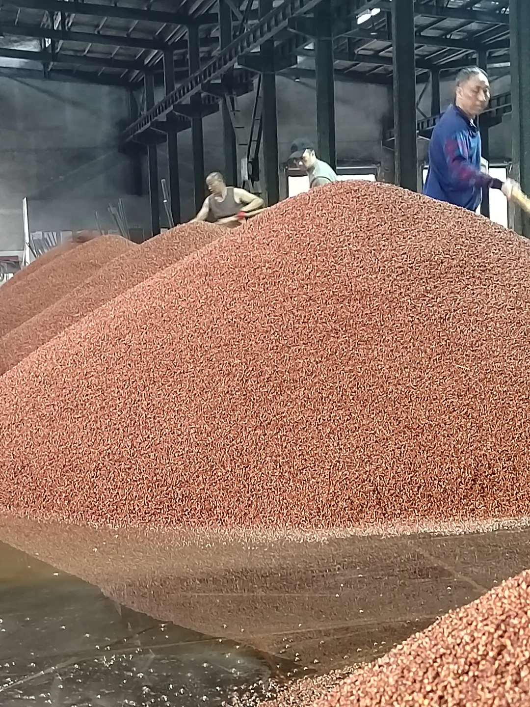 12987古法酿造工艺制作好酱酒