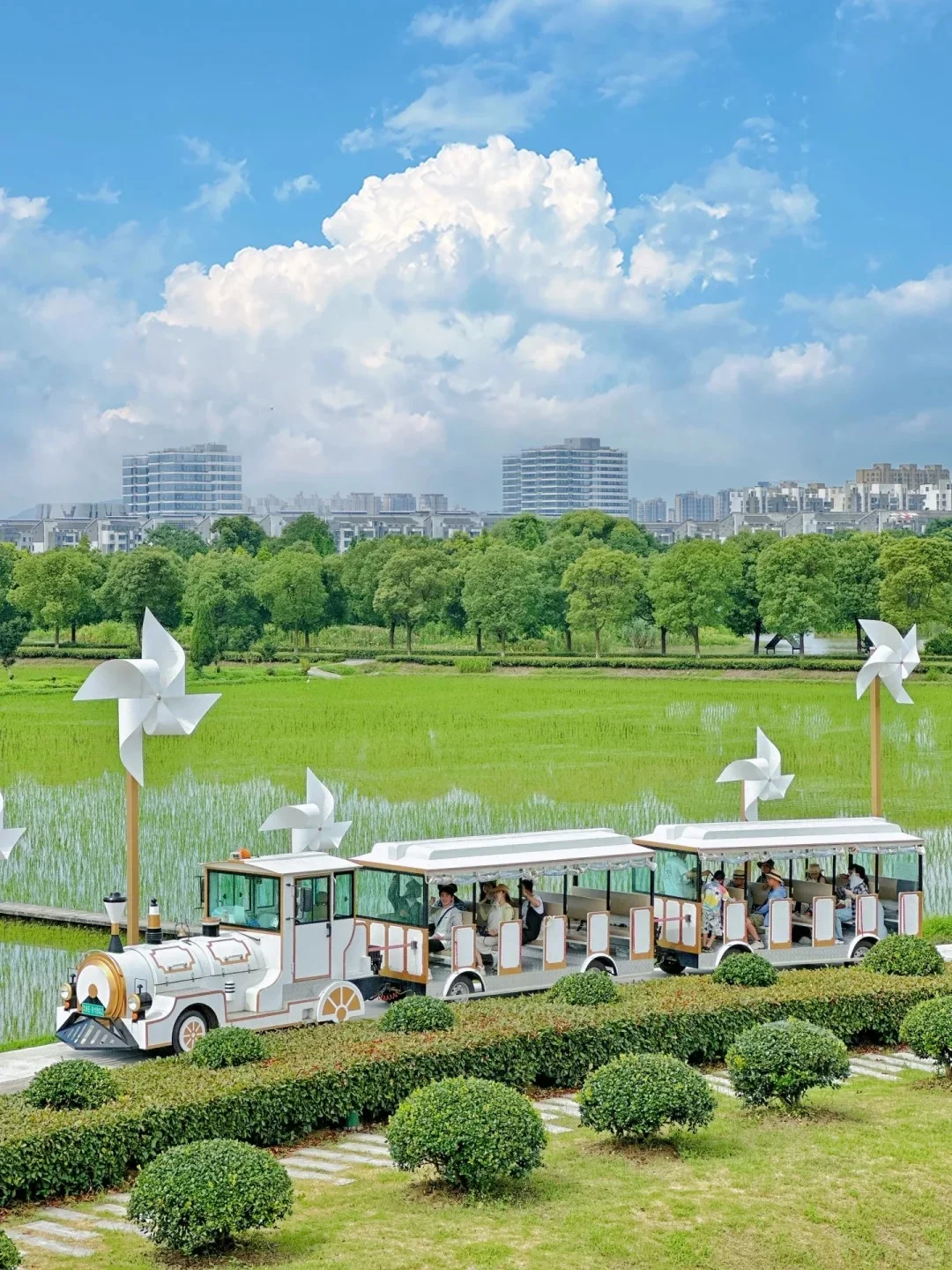 有机农场 + 文旅：解锁乡村新玩法